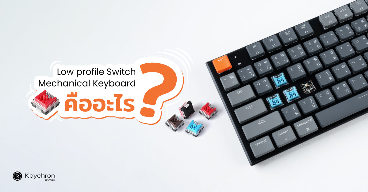 Low profile Switch Mechanical Keyboard คืออะไร